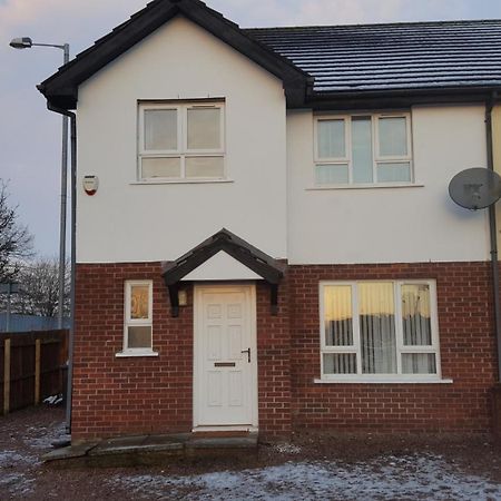 Hotel Lawnbrook Town House Belfast Esterno foto